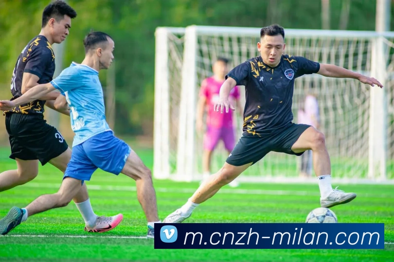 米兰体育平台生态图