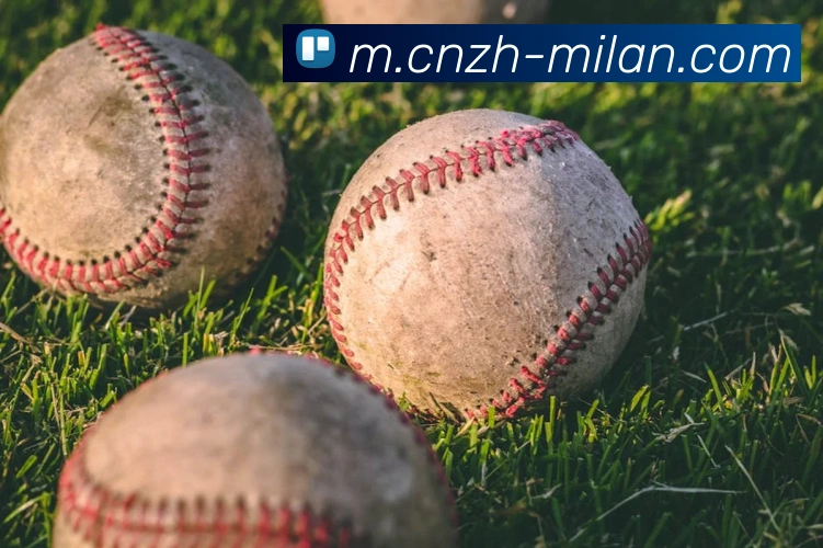 米兰体育全站App 米兰体育全站App